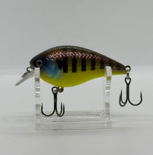 Load image into Gallery viewer, TKF/SB5 (Shallow Water Squarebill Crankbait) - Teamknowfish Tackle