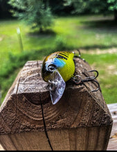 Load image into Gallery viewer, TKF/SB5 (Shallow Water Squarebill Crankbait) - Teamknowfish Tackle