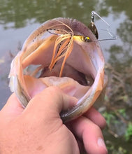 Load image into Gallery viewer, TKF Stalker Series FS - Teamknowfish Tackle