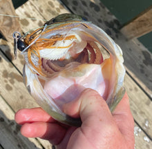 Load image into Gallery viewer, Bladed Jig - Teamknowfish Tackle
