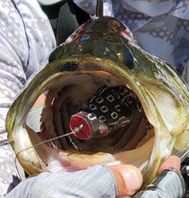 Load image into Gallery viewer, “Rattlin” Pop Frog - Teamknowfish Tackle