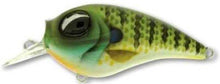 Load image into Gallery viewer, SB Crank 55 Rattling - Teamknowfish Tackle