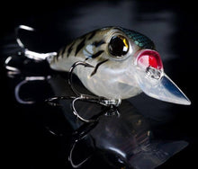 Load image into Gallery viewer, SB Crank 55 Rattling - Teamknowfish Tackle