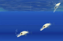 Load image into Gallery viewer, TKF Wobble Craw - Teamknowfish Tackle