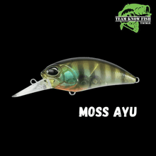 Load image into Gallery viewer, TKF Wobble Craw - Teamknowfish Tackle