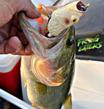 Load image into Gallery viewer, “Rattlin” Pop Frog - Teamknowfish Tackle
