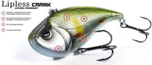 Load image into Gallery viewer, Lipless Crank 70 Rattling - Teamknowfish Tackle
